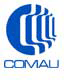 Comau Russia S.r.l   Италия